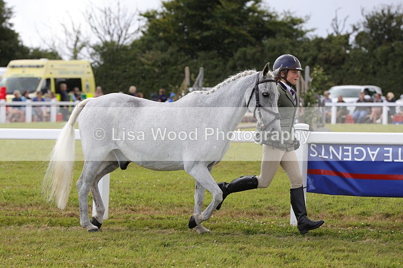 1X9A4936 - Class 35: Veteran In Hand