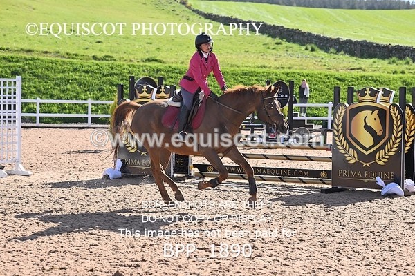 BPP_1890 - CLASS 2 - FRI - KBIS Club Senior 80cms
