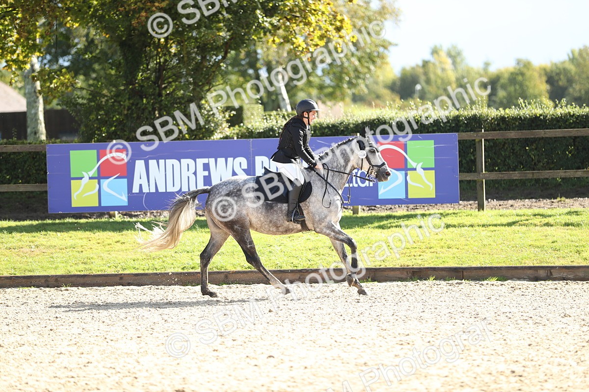 SBM_37403 - J20 - Junior Horse 50cm Championship