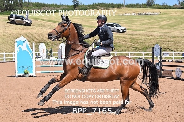 BPP_7165 - CLASS 14 FRI Nupafeeds Senior Dicovery/1m open