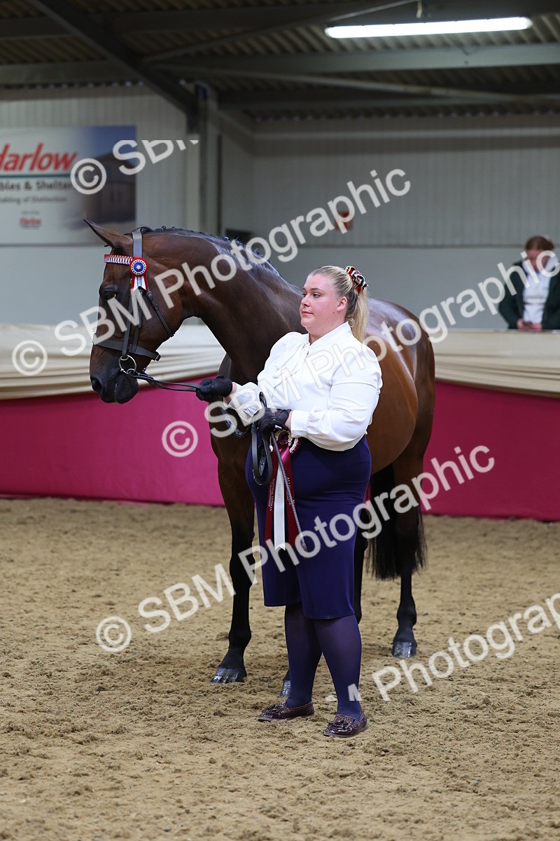 SBM_21124 - Class 902 - Supreme Final IH Veteran