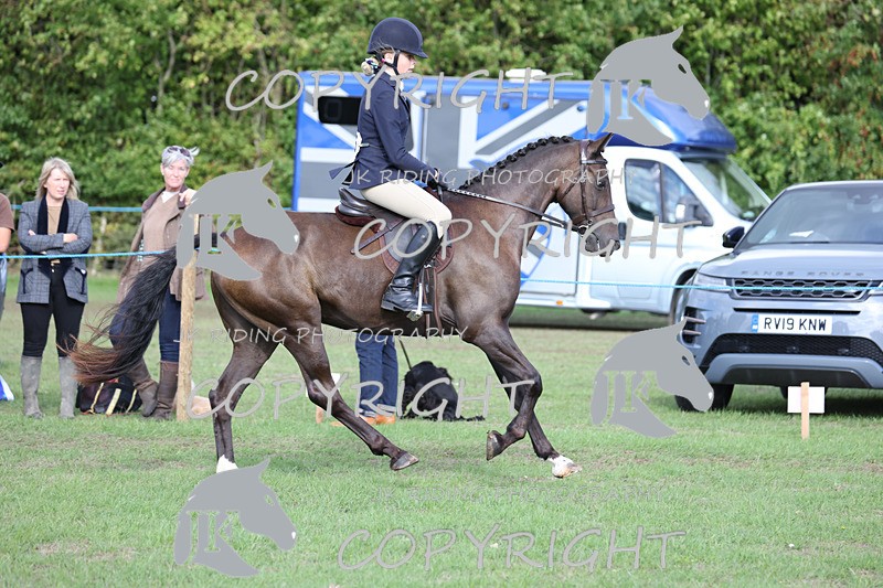APP_4177 - Class 15a/b Pony club pony/Riding club horse
