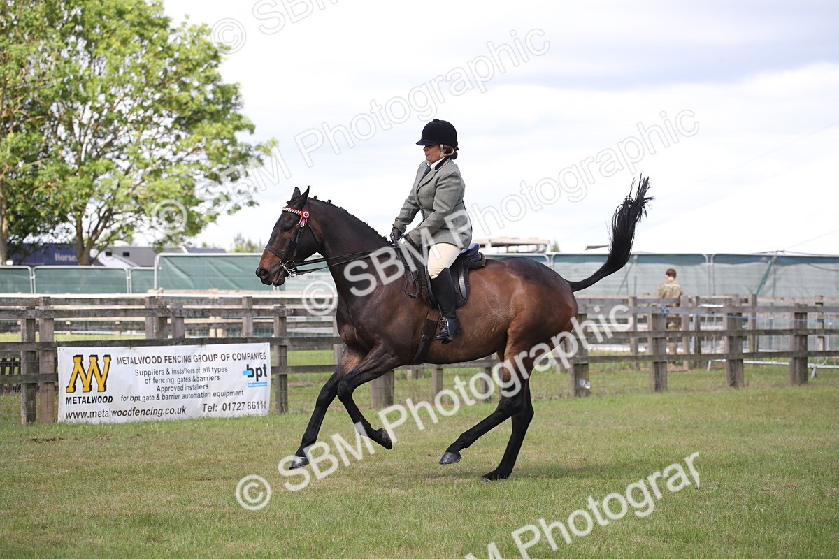 SBM_14216 - Class 113-114 - Retraining of Racehorses Ridden