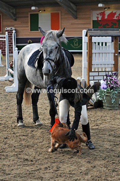 equiscot 3184 - NICOLA CAPPER