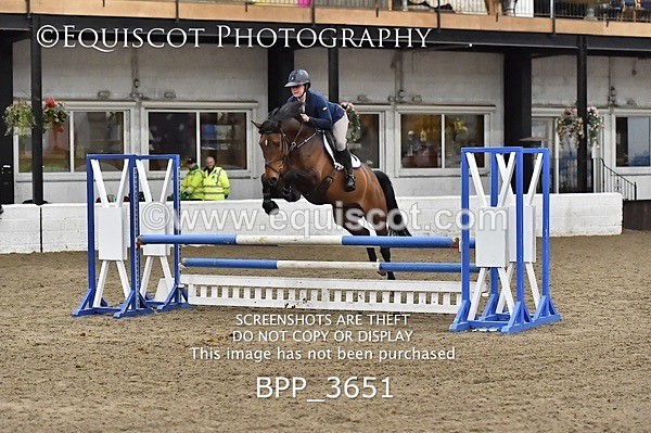 BPP_3651 - FRI CLASS 21 BR NOVICE/90CM