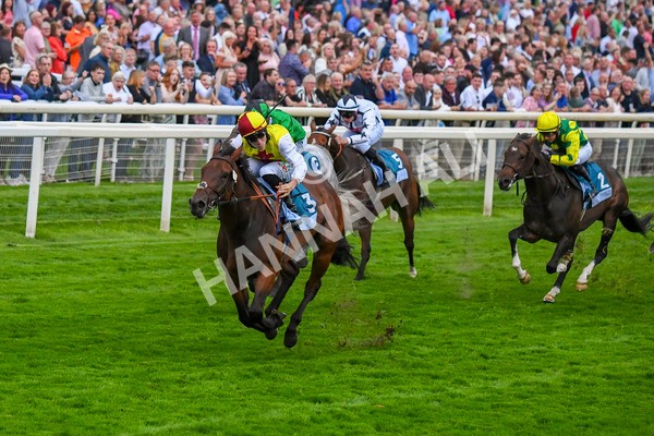 280723-Race 7-Knebworth-0788 - Race 7 8.20pm Sky Bet Go-Racing-In-Yorkshire Summer Festival Handicap