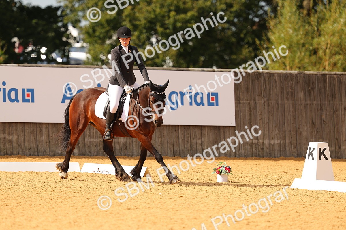 SBM_48257 - D22 - Junior Championship - Intro B
