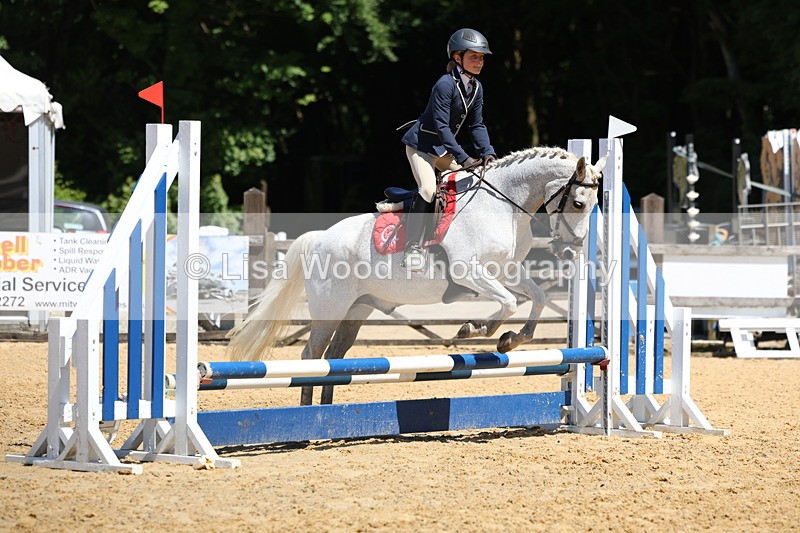 3E7A2418 - Class 4/5: 60cm Open Teams and Individuals