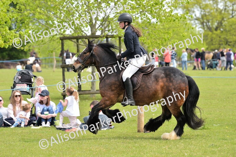 20260426-2439 - Class 21 - Working Hunter Ponies