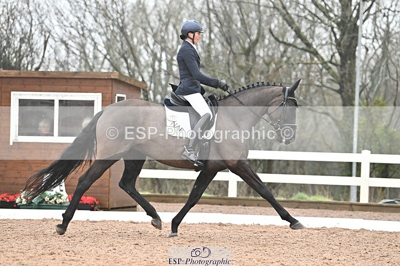 250215-115844-03307 - 165-Elder.Klatzko-Dynasty.Hit