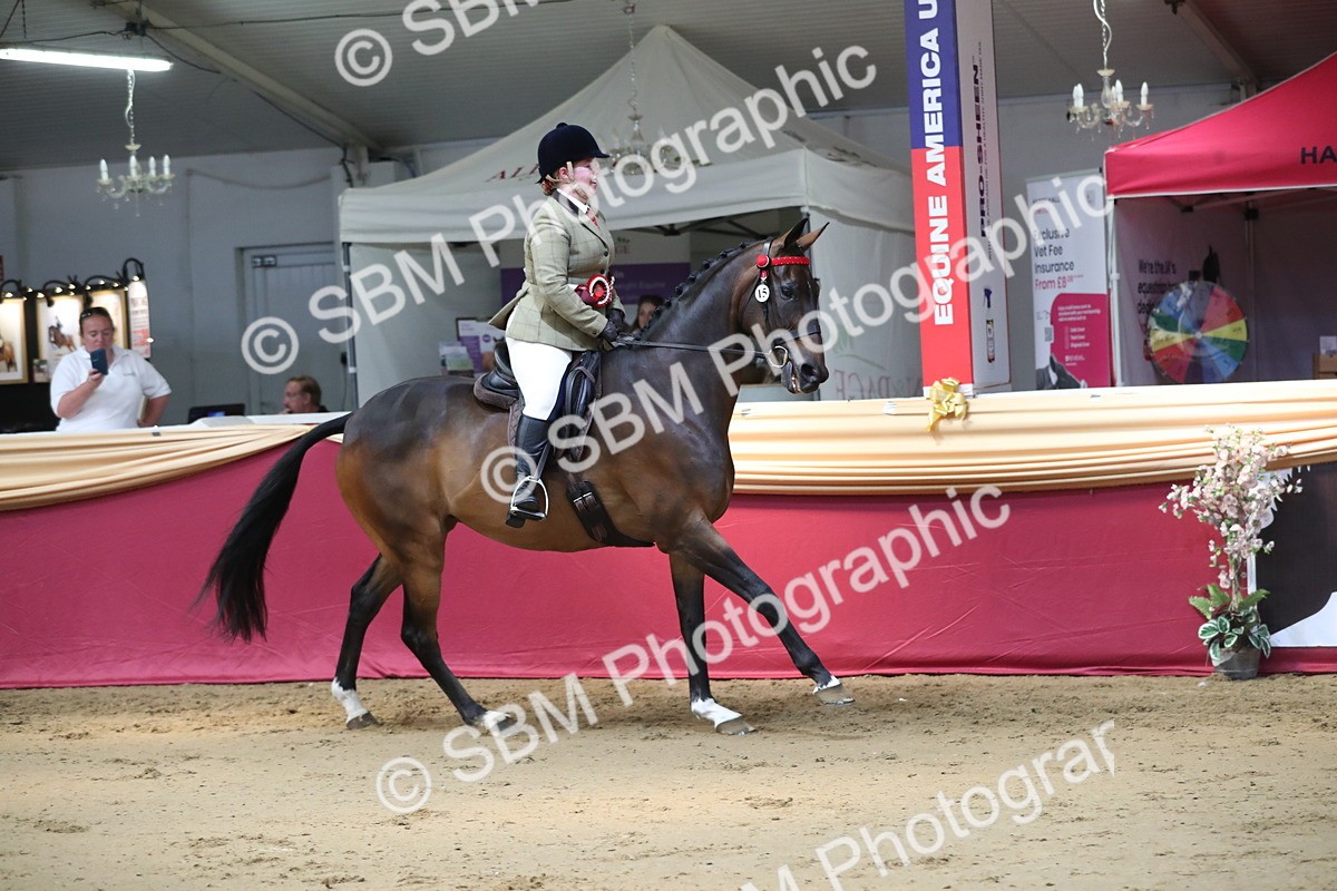SBM_03005 - Class 6a Area Ridden Pre Vet