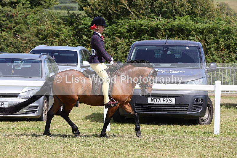 1X9A5338 - Class 37: NPS M&M First Ridden