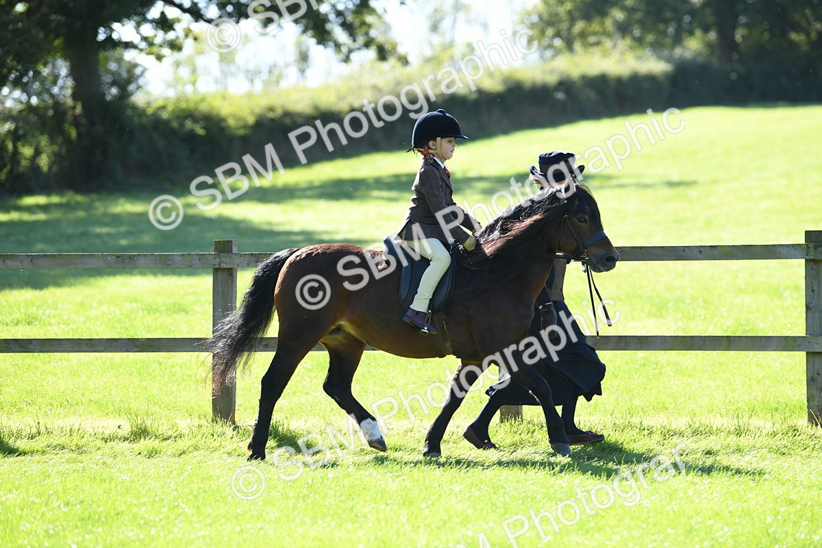 SBM_39554 - S18 - Novice & Newcomers Lead Rein Pony
