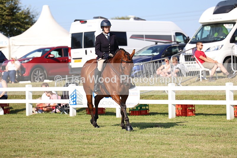 3E7A5504 - Class 2: Rising Star Large Hack/Riding Horse