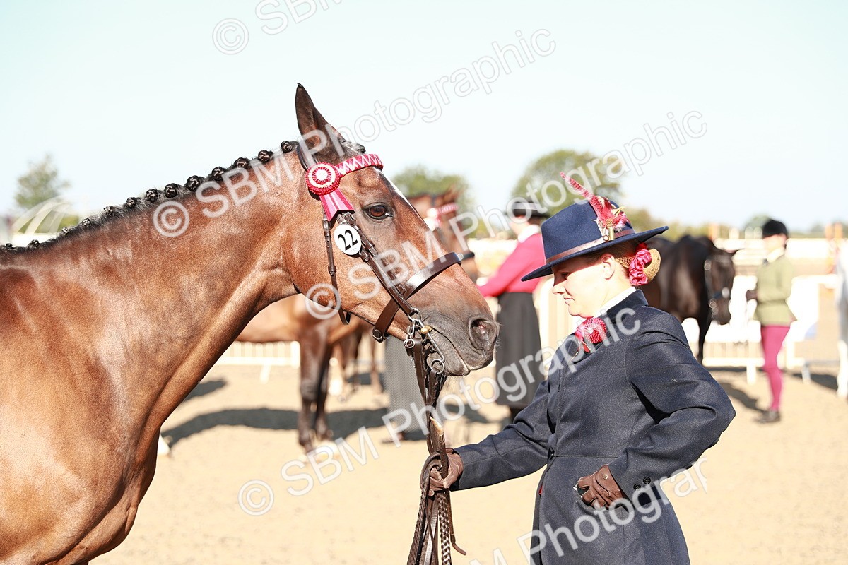 SBM_00062 - Class 40 Best Turned Out IH