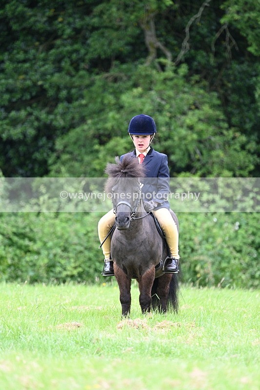WJ7_3758 - Class 14A Handsome Gelding
