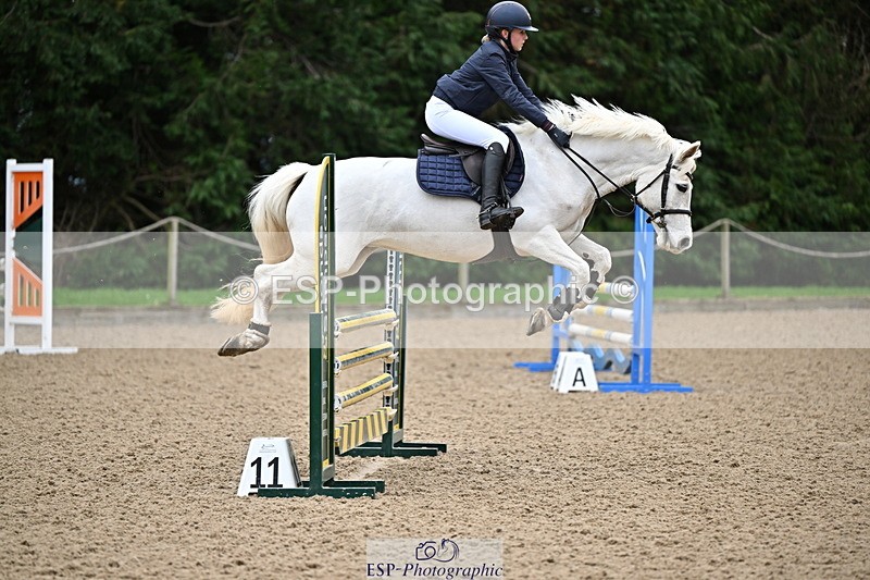 250201A-093618-00022 - Cls 01 Local Horse 90cm