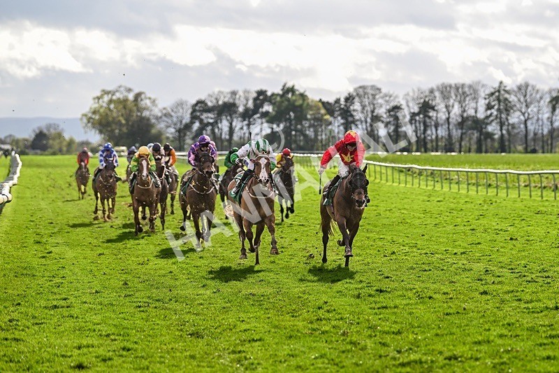 - Race 8