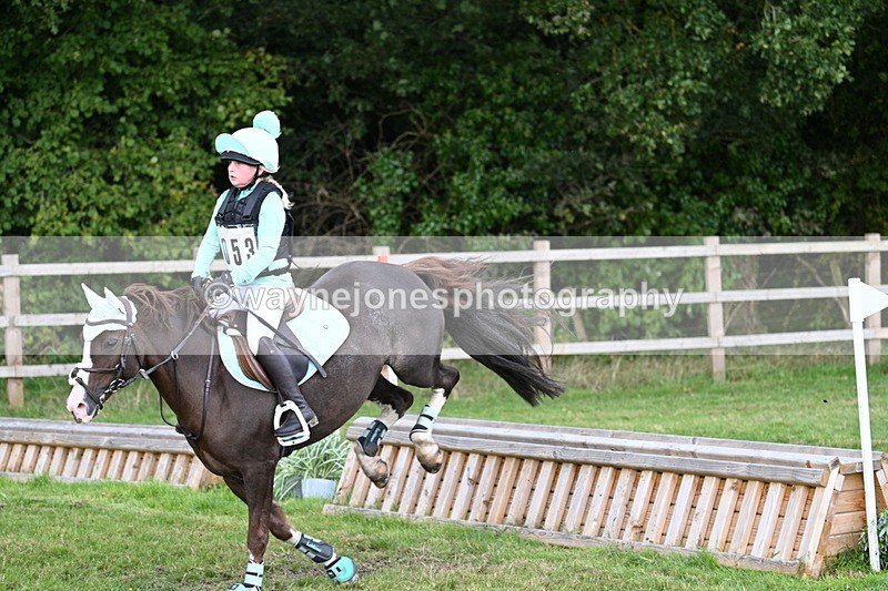 WJ7_8333 - 60cm Time 12:11 to 12:30