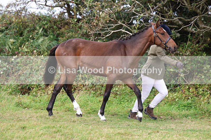 3E7A4085 - Class 15: Two Year Olds