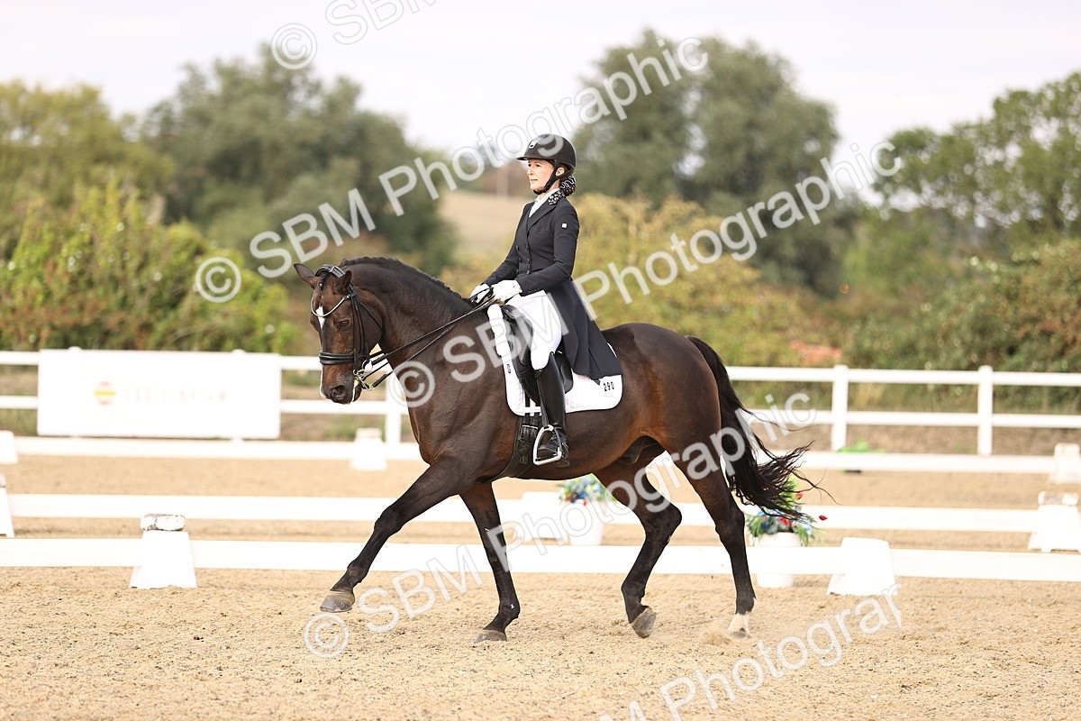 SBM_015547 - Class 11 - FEI PSG