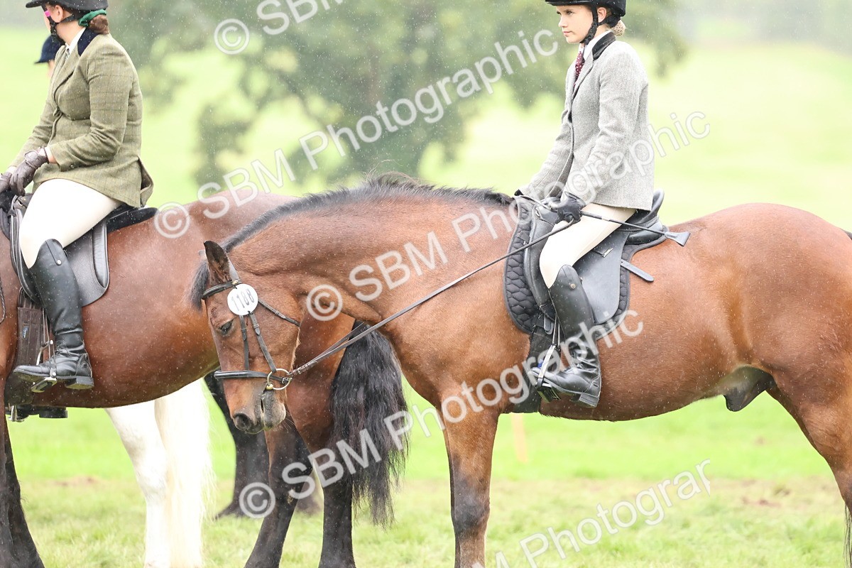 SBM_69681 - S62 - Mountain & Moorland Ridden Large Breeds