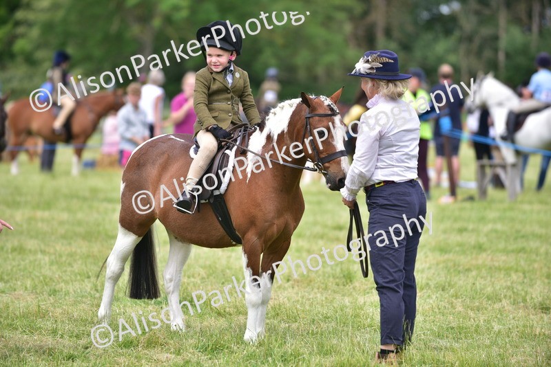 20260614-1395 - Class 11b - Lead Rein Pony (Plaited)