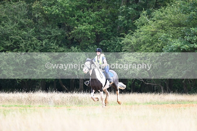 DSC_6882 - Time at Statue 12:45 to 13:15