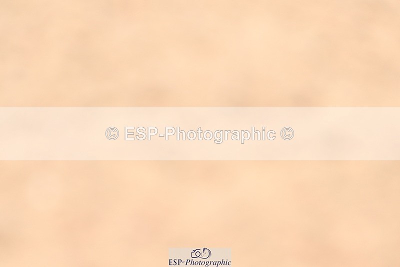 240510A-131724-07184 - Cls 23 Talent Seeker Inc 7yr old 13.15 to 14.10