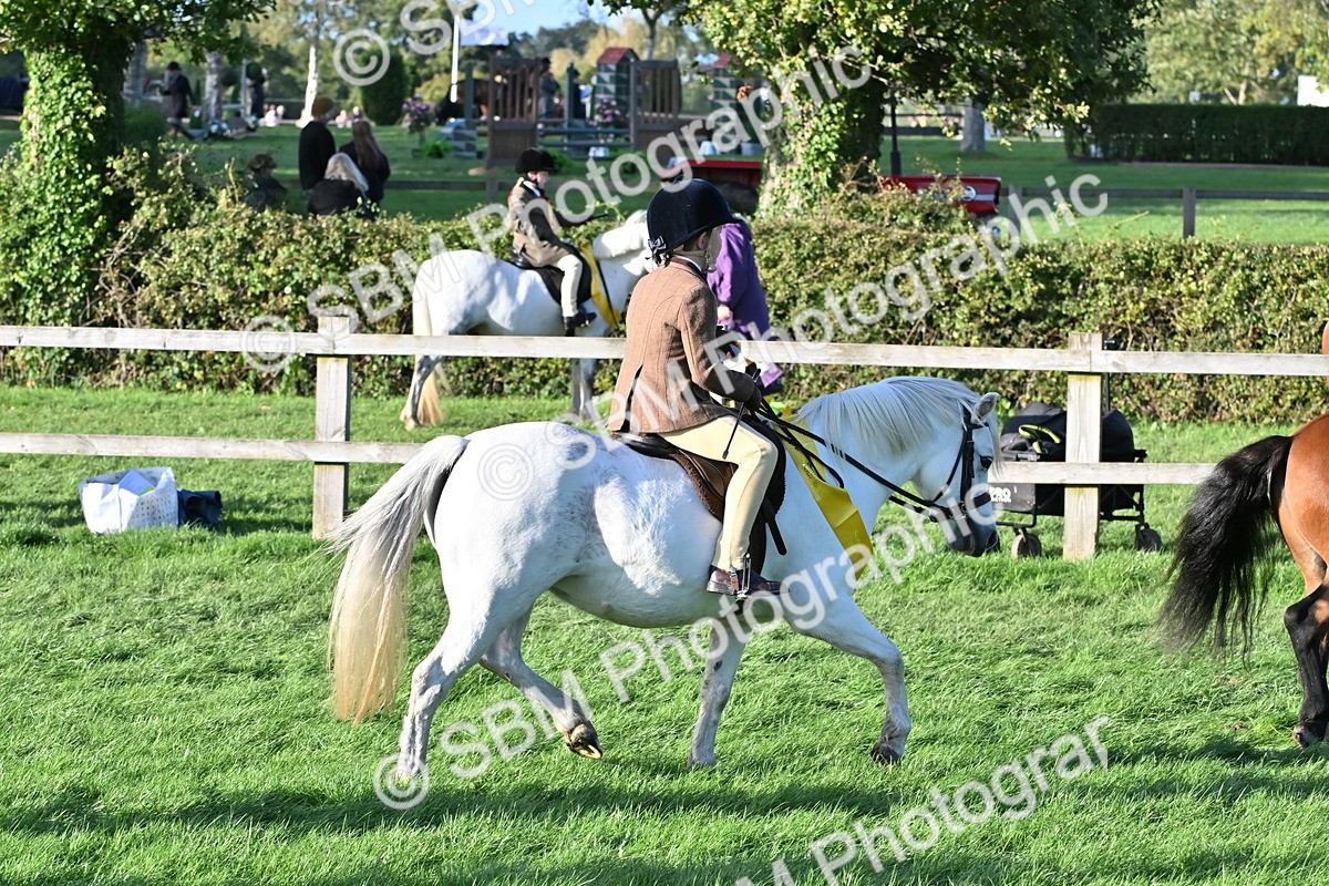 SBM_53099 - S23 - First Ridden Mountain & Moorland Pony