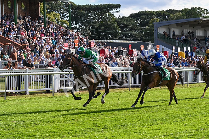 160824-Race 2-Dark Cloud Rising-8926 - Race 2