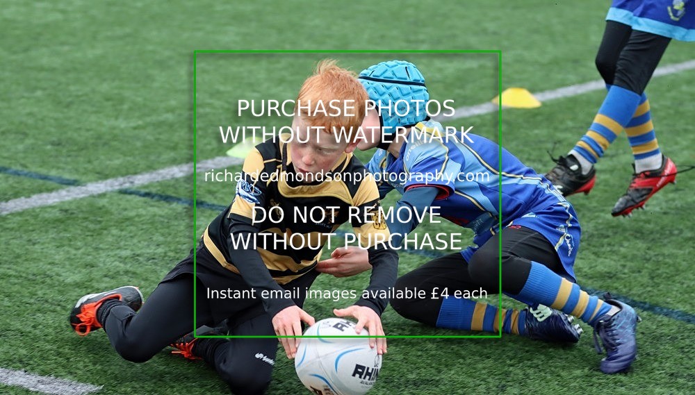 IMG_5763 - Kendal Rugby Mini & Youth Under 8 & Under 9  (1/12/24)