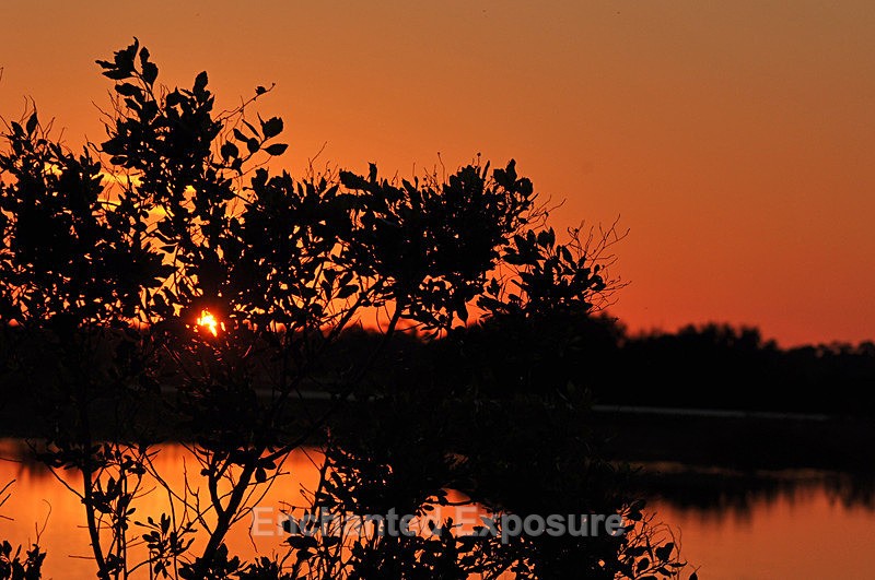 Sunset at Viera Wetlands - Waterscapes