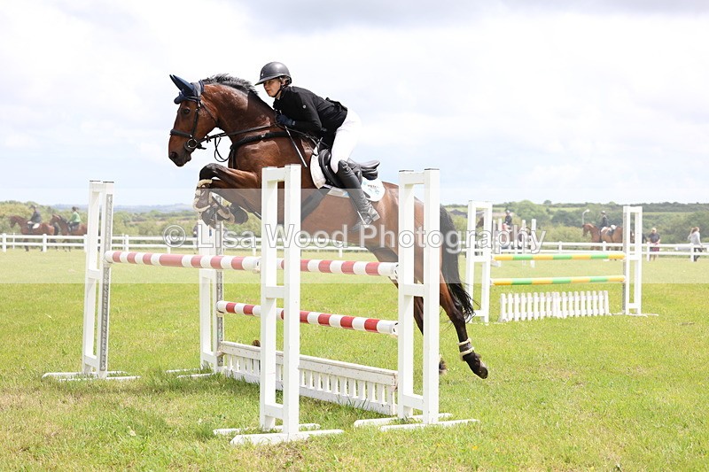 3E7A7108 - Class 12: Senior Foxhunter/1.20 open