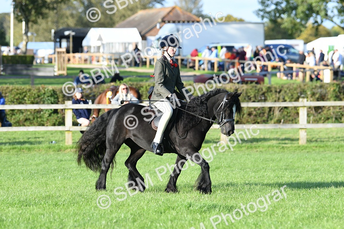 SBM_54080 - S23 - 1st Ridden Mountain & Moorland Pony