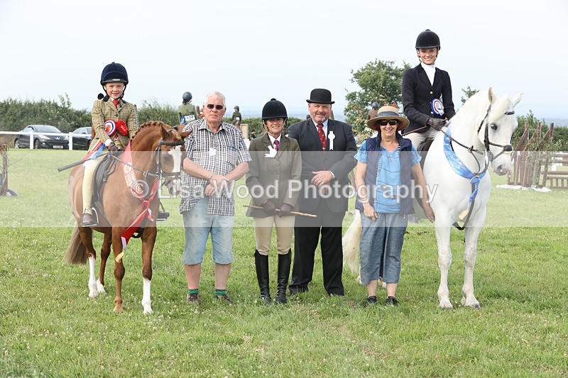 JPP_4815 - Working Hunter Championship