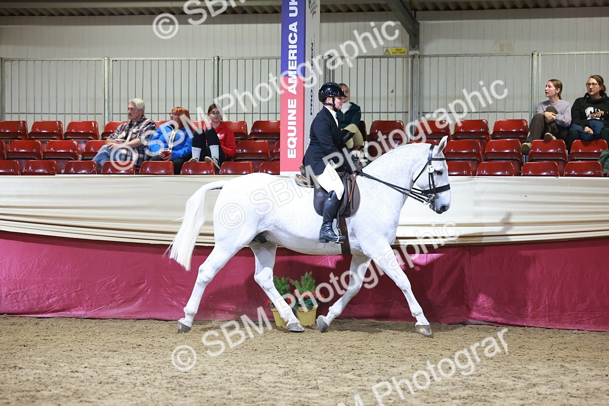 SBM_21144 - class Q - Ridden Horse Champ