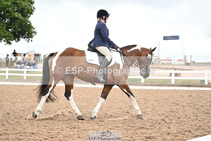 250705-175534-03237 - N3 Section BDNOV3 15.55 to 17.19