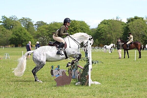 IMG_3122 - Working Hunter