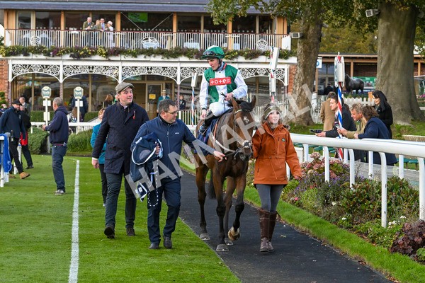 111024-Race 3-Minstrel Knight-1708 - Race 3 2.40pm William Hill Finale Handicap