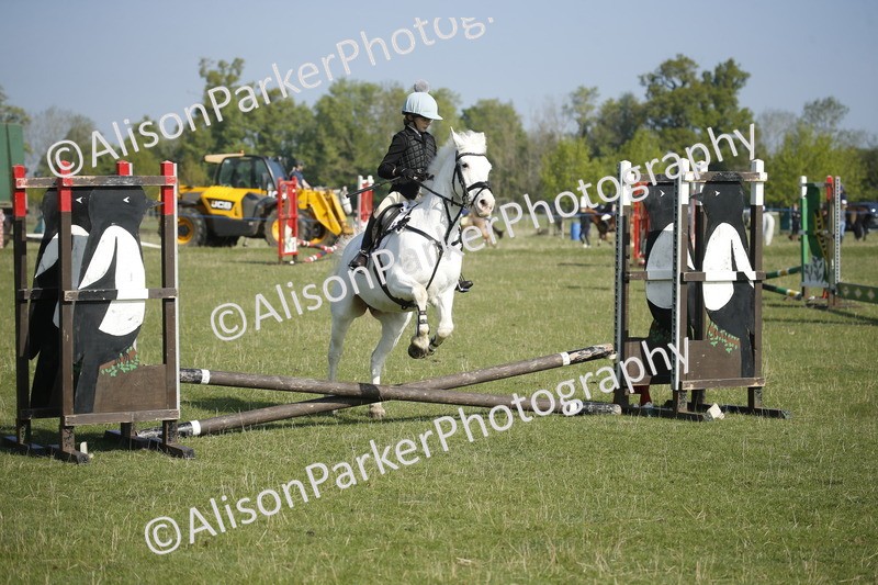 20250427-0255 - Class 12 - Rookie Jumping 40cm