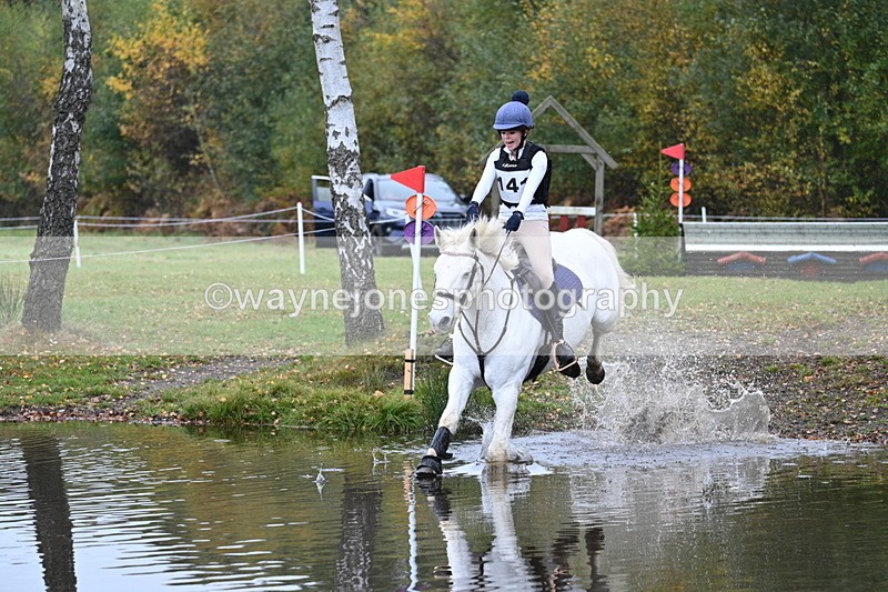 WJ7_0980 - 80cm Cam 2 Water Time 11:29 to 11:46