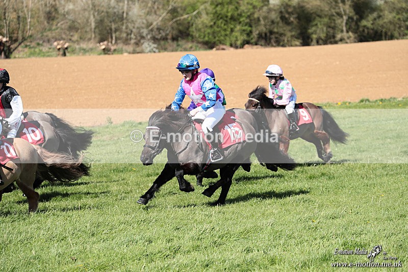 Shet 060426 297 - Shetland Pony Racing Paxford Races Easter Mon 06/04/26