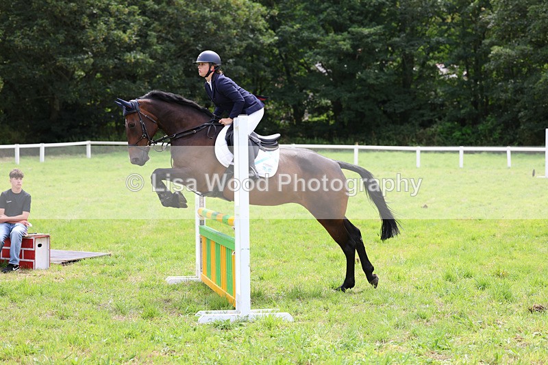 3E7A6965 - Class 5: Senior British Novice/90cm open