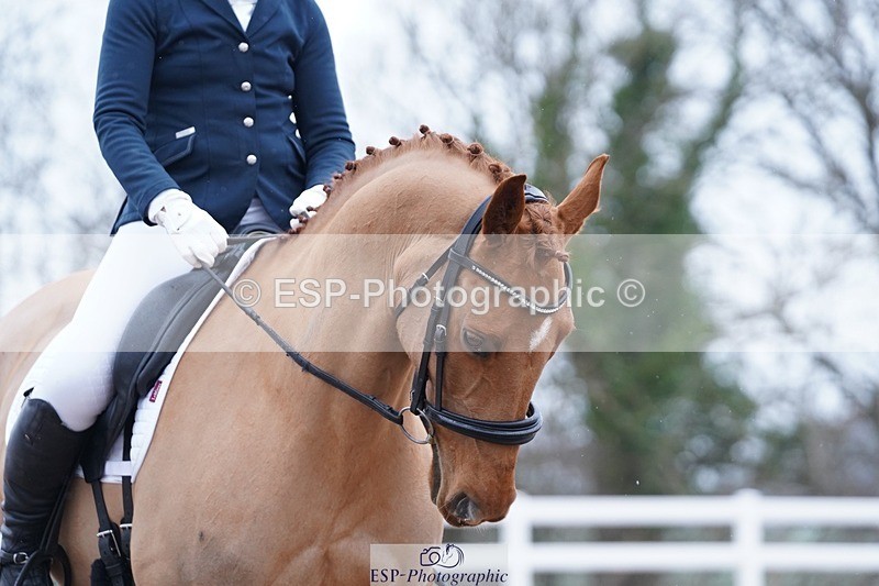 250214-122314-00561 - 247-Andrea.Kennedy-Ricardo.Red