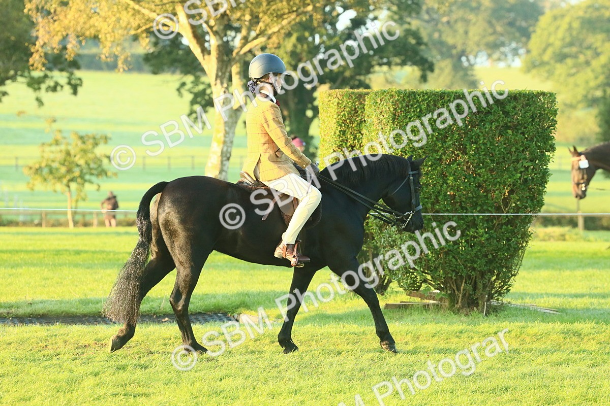 SBM_56496 - S36 - Starters Best Turnout