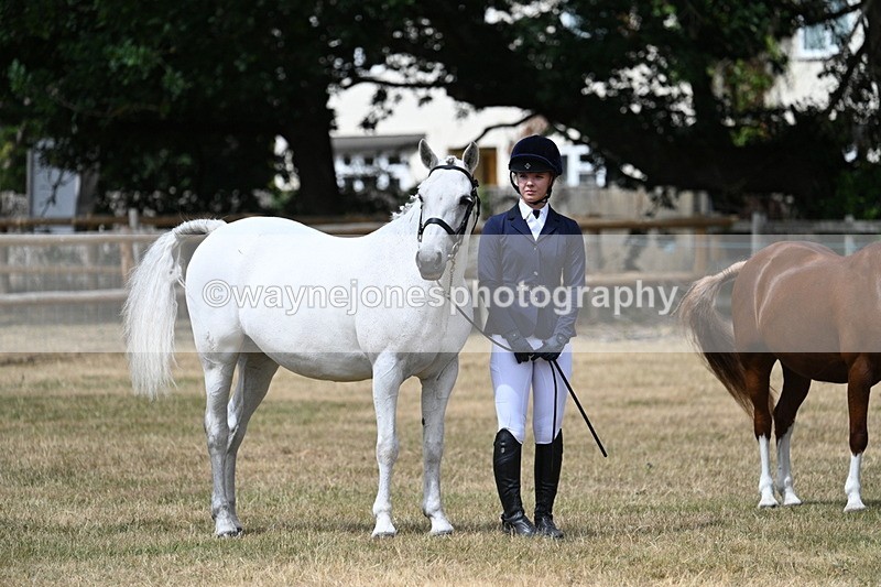 WJ7_1703 - Class 4 Prettiest Mare up to 14.2hh in hand