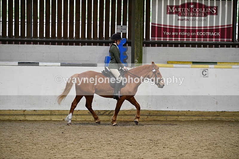 WJ5_8506 - Class 14 Novice Ridden/Rider