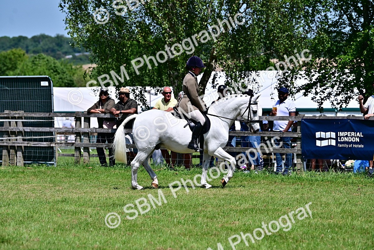SBM_17389 - Class 95-97 - BSPS LHS Performance Ponies