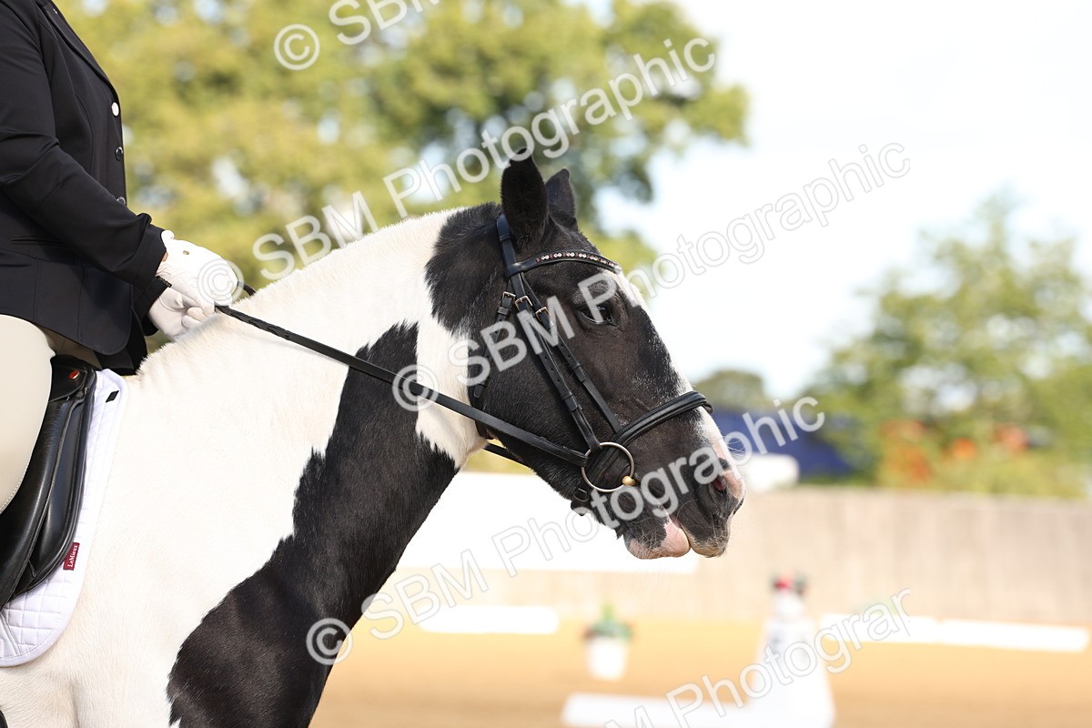 SBM_16211 - D10 - Small Tour Championship Prelim 2